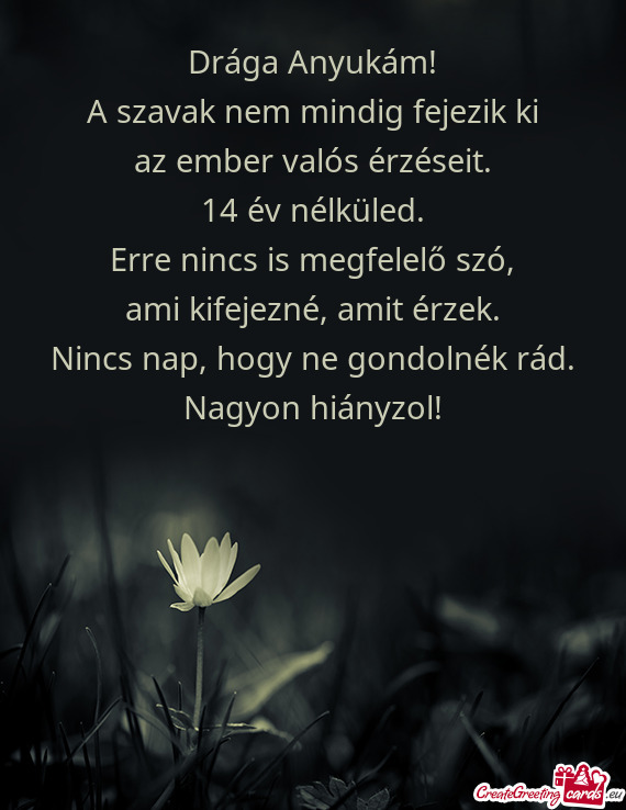 14 év nélküled