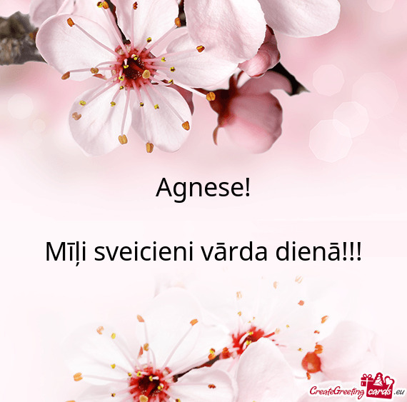 Agnese!
 
 Mīļi sveicieni vārda dienā