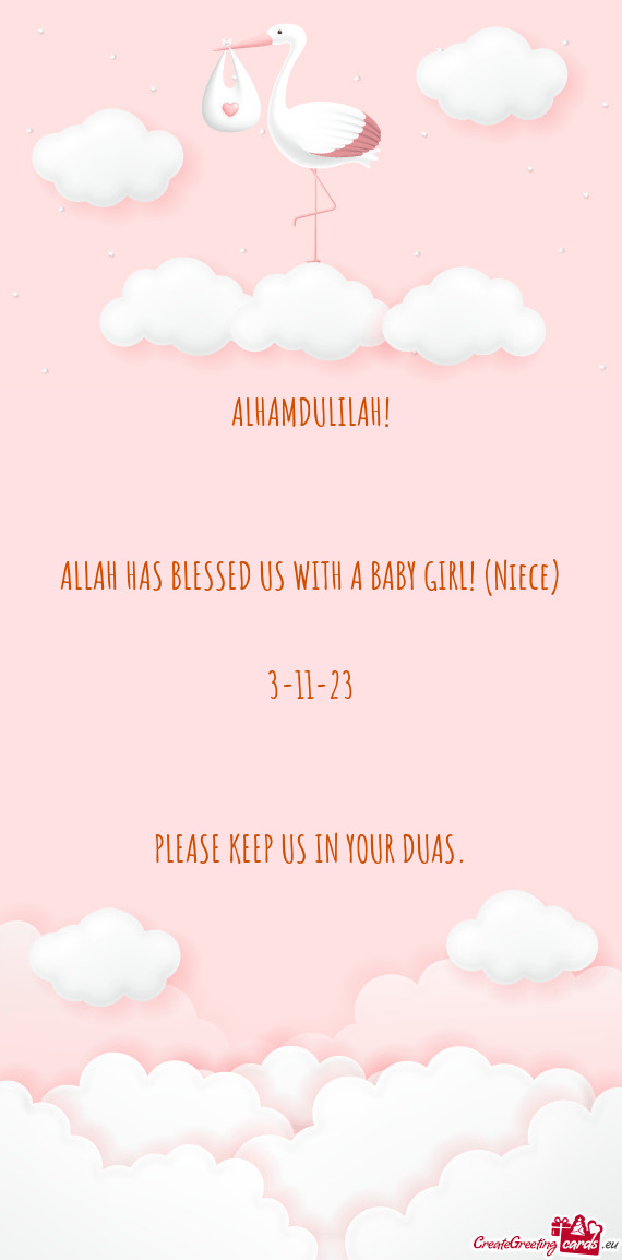 ALHAMDULILAH!  ALLAH HAS BLESSED US WITH A BABY GIRL! (Niece)  3-11-23  PLEASE KEEP US I