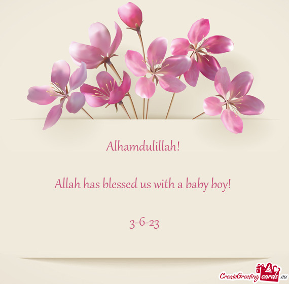 Alhamdulillah!  Allah has blessed us with a baby boy!  3-6-23