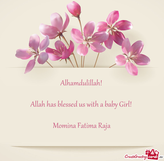 Alhamdulillah!  Allah has blessed us with a baby Girl!  Momina Fatima Raja