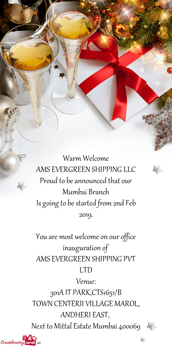 AMS EVERGREEN SHIPPING PVT LTD