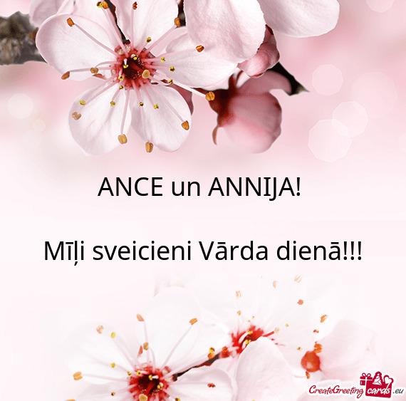 ANCE un ANNIJA