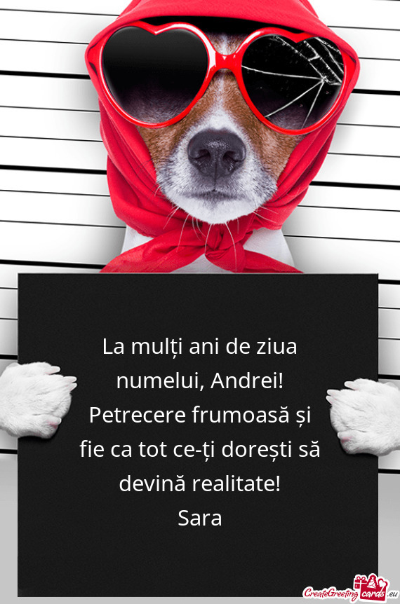 Andrei!
 Petrecere frumoasă și fie ca tot ce-ți dorești să devină realitate!
 Sara