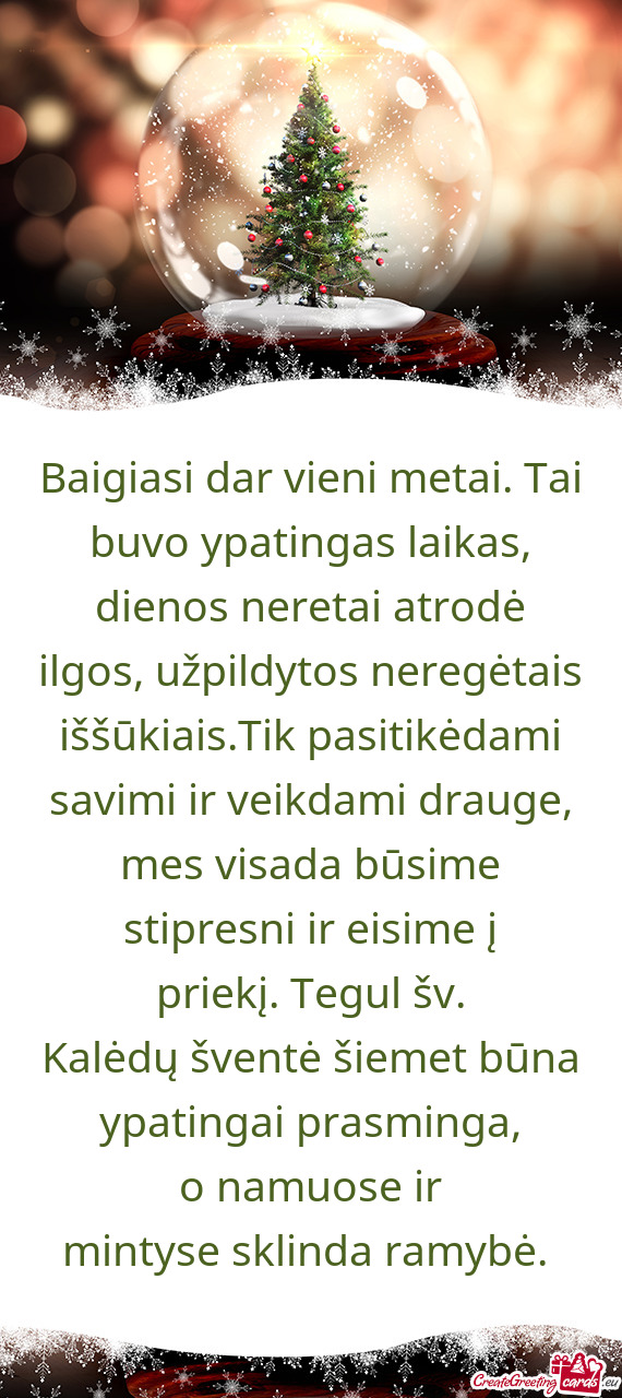 Baigiasi dar vieni metai. Tai buvo ypatingas laikas, dienos neretai atrodė ilgos, užpildytos nereg