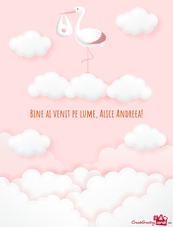 Bine ai venit pe lume, Alice Andreea