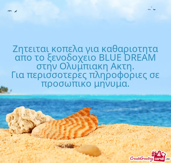 Ζητειται κοπελα για καθαριοτητα απο το ξενοδοχειο BLUE DR