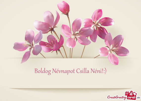 Boldog Névnapot Csilla Néni!:)