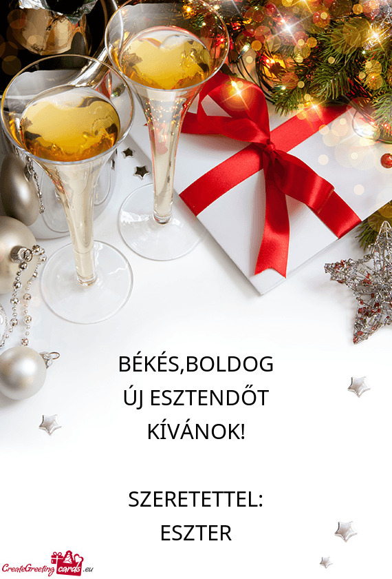 BOLDOG ÚJ ESZTENDŐT KÍVÁNOK! SZERETETTEL