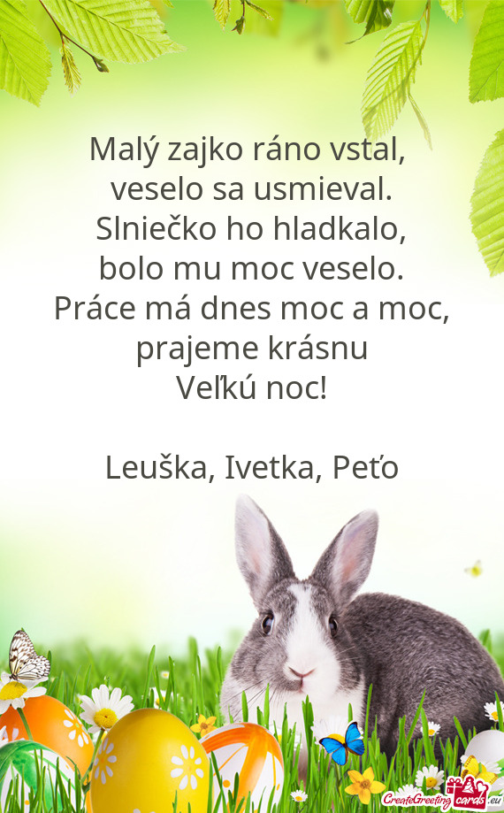 Bolo mu moc veselo