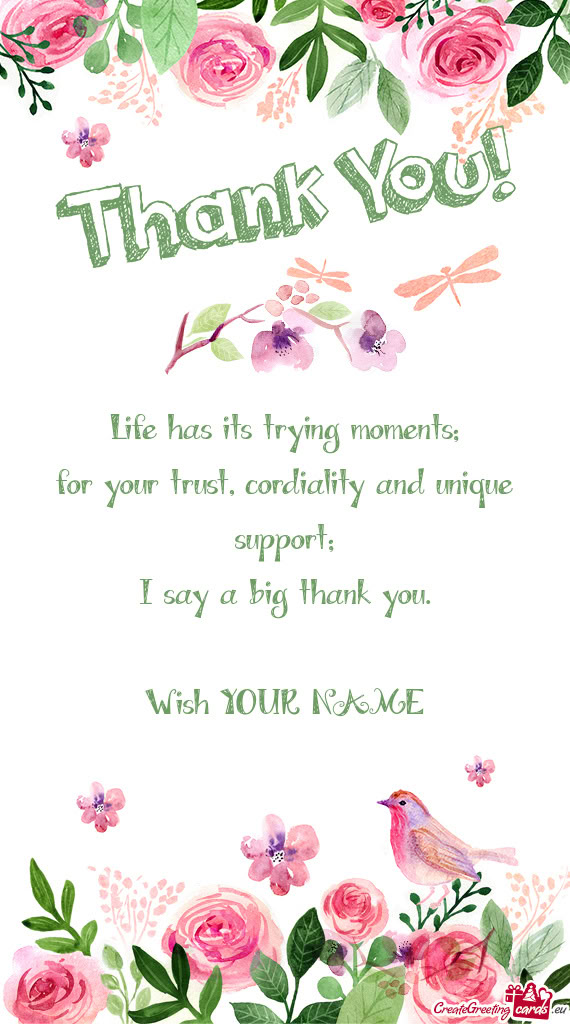 Cordiality and unique support; I say a big thank you