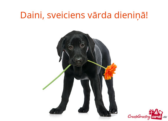 Daini, sveiciens vārda dieniņā!