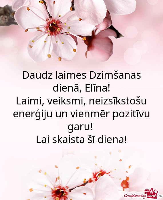 Daudz laimes Dzimšanas dienā, Elīna