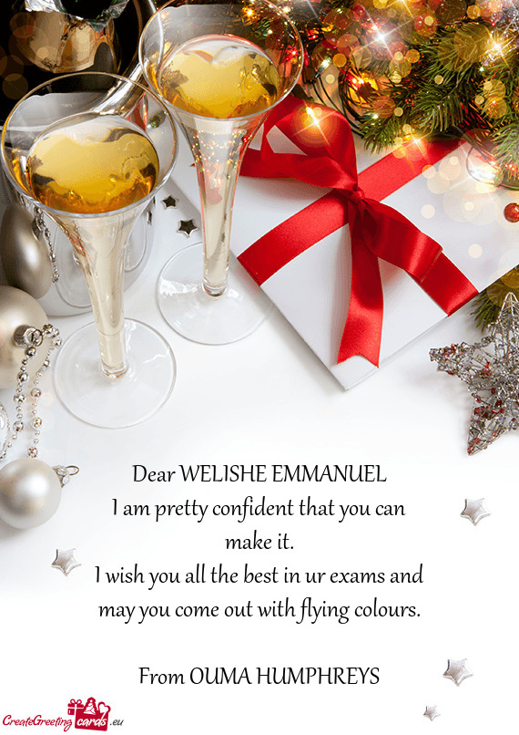 Dear WELISHE EMMANUEL