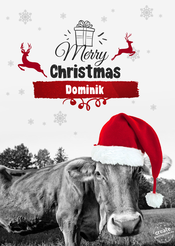 Dominik