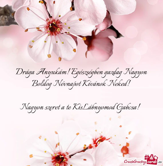 Drága Anyukám! Egészségben gazdag Nagyon Boldog Névnapot Kívánok Neked