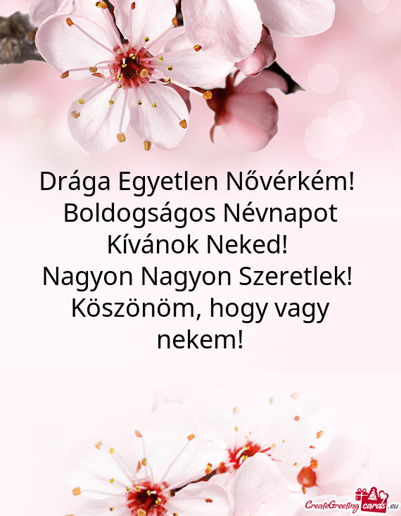 Drága Egyetlen Nővérkém