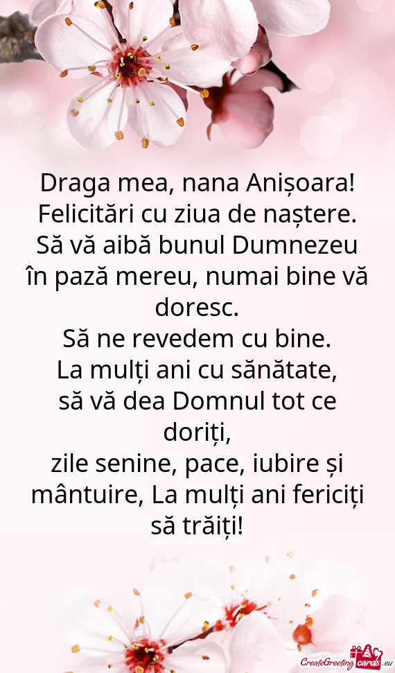 Draga mea, nana Anișoara