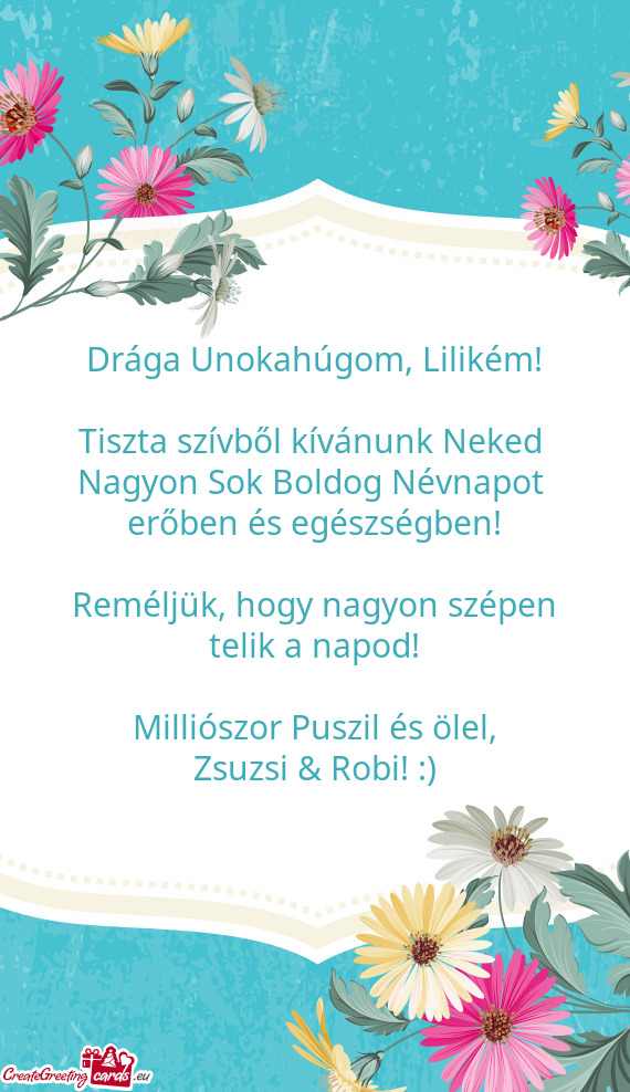 Drága Unokahúgom, Lilikém