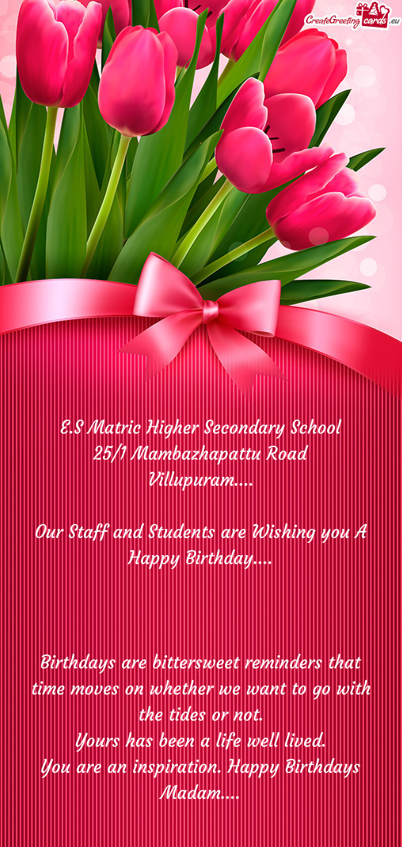 E.S Matric Higher Secondary School