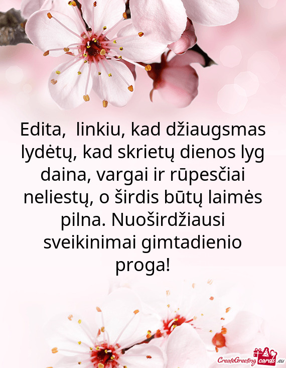 Edita, linkiu, kad džiaugsmas lydėtų, kad skrietų dienos lyg daina, vargai ir rūpesčiai nelie