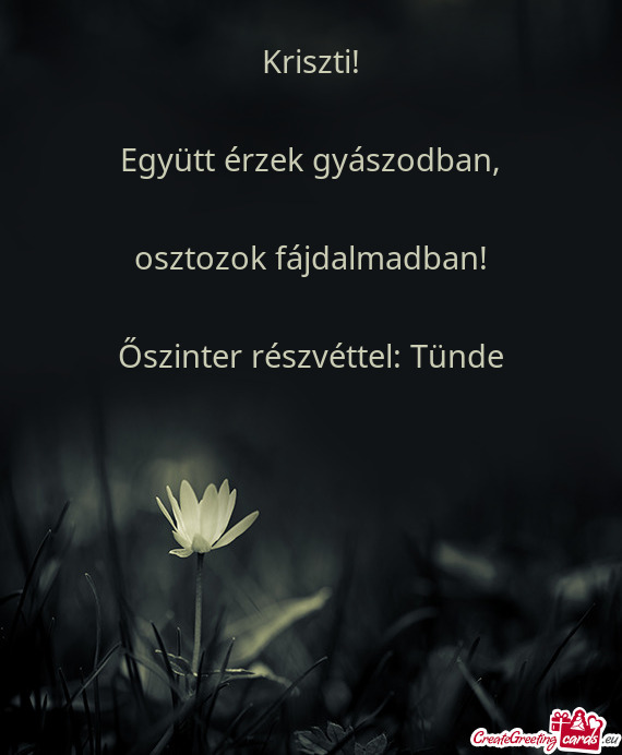 Együtt érzek gyászodban