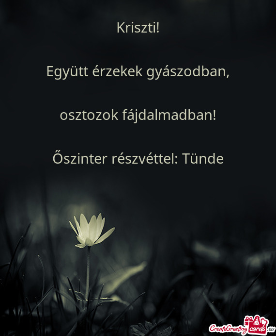 Együtt érzekek gyászodban