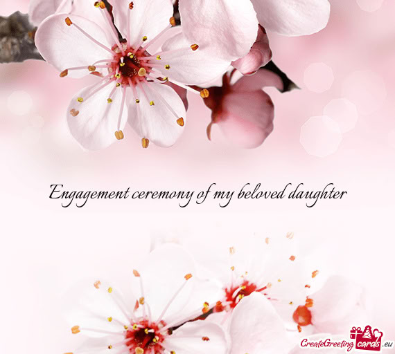 Engagement ceremony of my beloved daughter