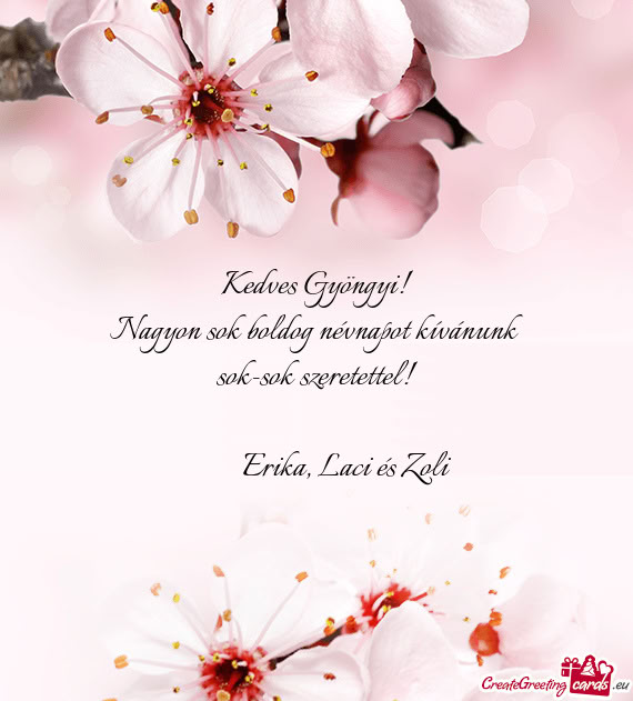 Erika, Laci és Zoli