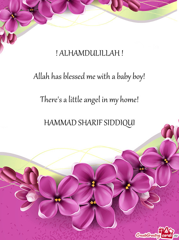 HAMMAD SHARIF SIDDIQUI