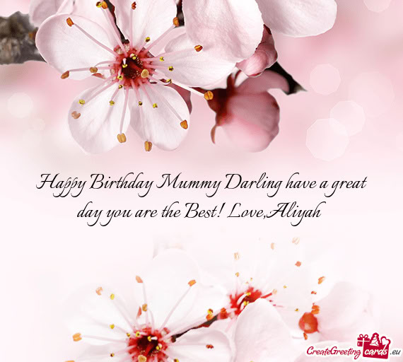 Happy Birthday Mummy Darling have a great day you are the Best! Love,Aliyah