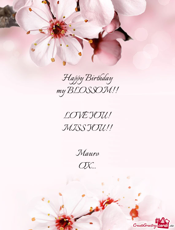 Happy Birthday my BLOSSOM!! LOVE YOU! MISS YOU!! Mauro OX