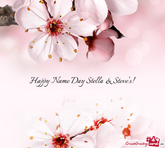 Happy Name Day Stella & Steve