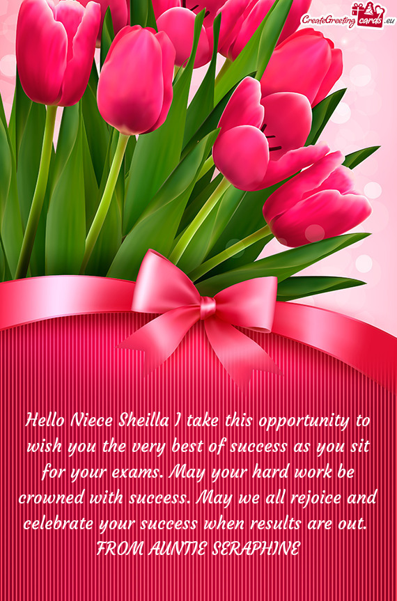 Hello Niece Sheilla I take this opportunity to wish you the very best of success as you sit for your