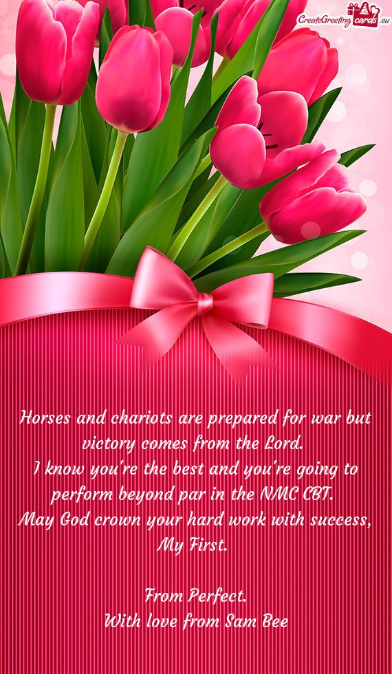 Horses and chariots are prepared for war but victory comes from the Lord