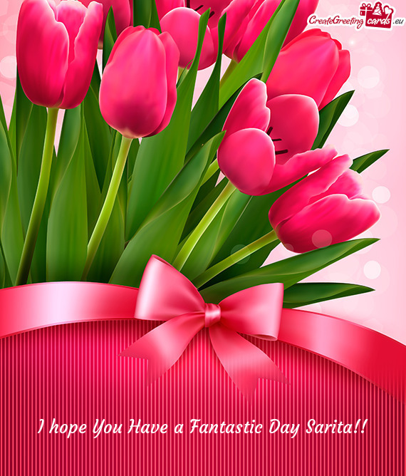 I hope You Have a Fantastic Day Sarita