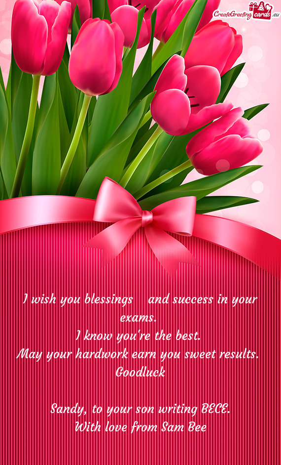 I wish you blessings​ and success in your exams