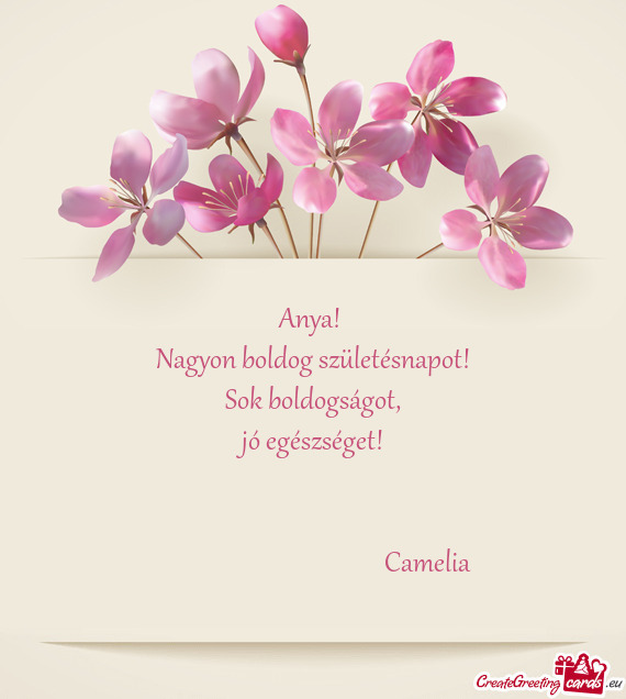 Jó egészséget!
 
 
           Camelia