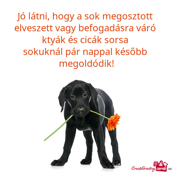 Jó látni, hogy a sok megosztott