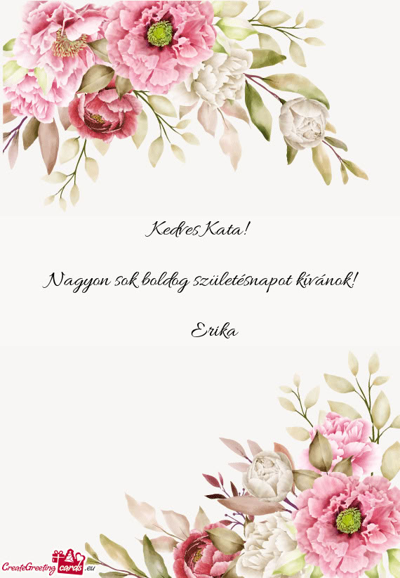 Kedves Kata!  Nagyon sok boldog születésnapot kívánok!    Erika