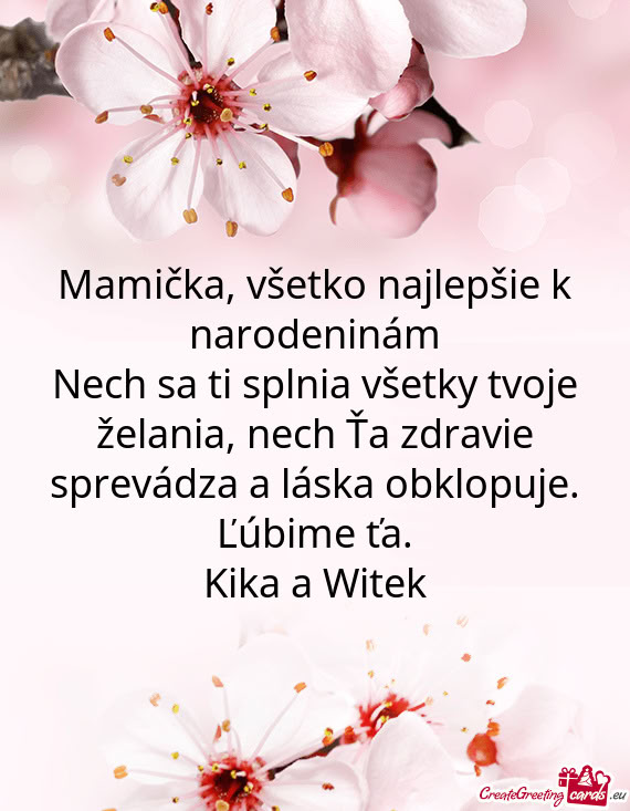 Kika a Witek