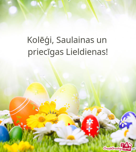 Kolēģi, Saulainas un