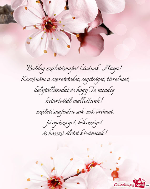 Köszönöm a szeretetedet, segítséget, türelmet, helytállásodat és hogy Te mindig