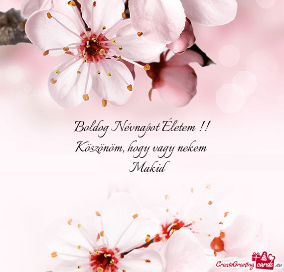 Köszönöm, hogy vagy nekem