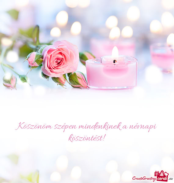 Köszöntést