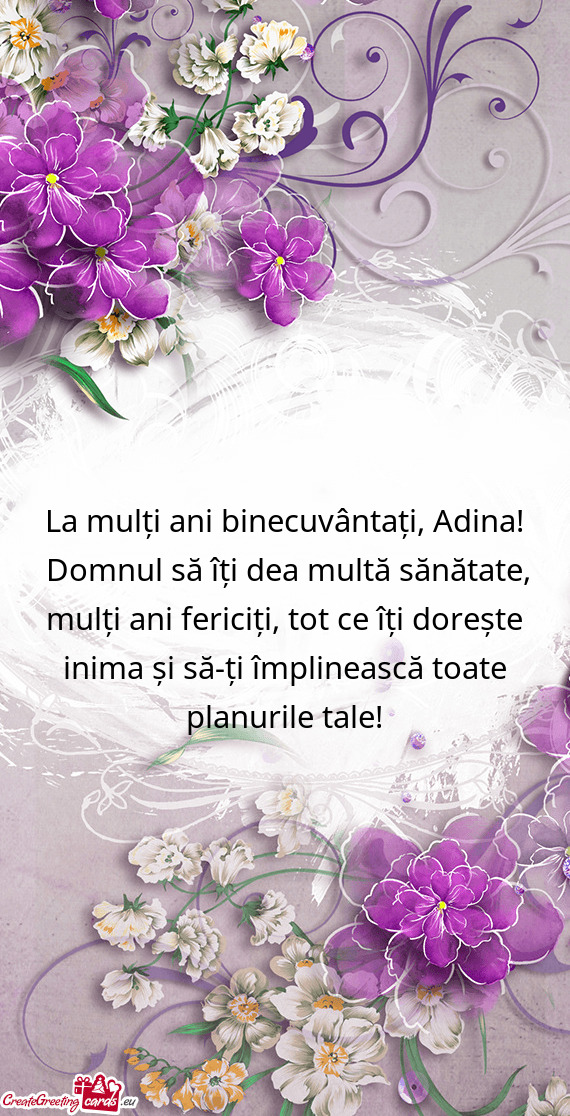 La mulți ani binecuvântați, Adina