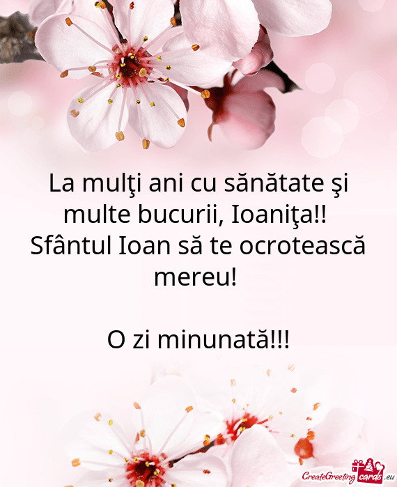 La mulţi ani cu sănătate şi multe bucurii, Ioaniţa