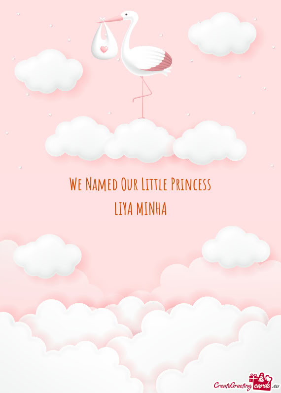 ❤️ LIYA MINHA ❤️