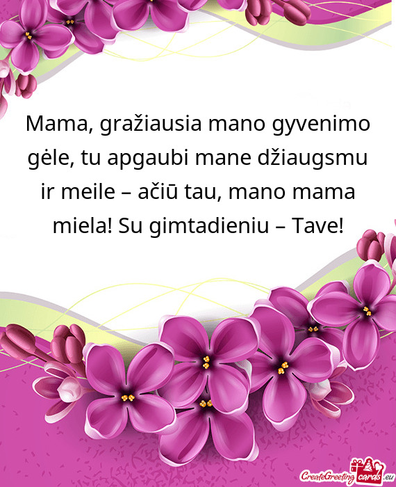 Mama, gražiausia mano gyvenimo gėle, tu apgaubi mane džiaugsmu ir meile – ačiū tau, mano mama