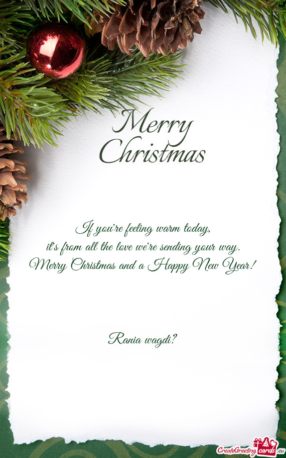 Merry Christmas and a Happy New Year!
 
 Rania wagdi